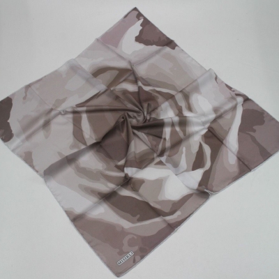 fotoğraf açıklaması